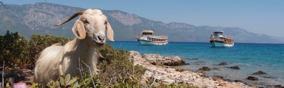 ??????????????????????