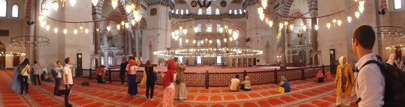 ???????????????????????????????